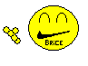 brice1